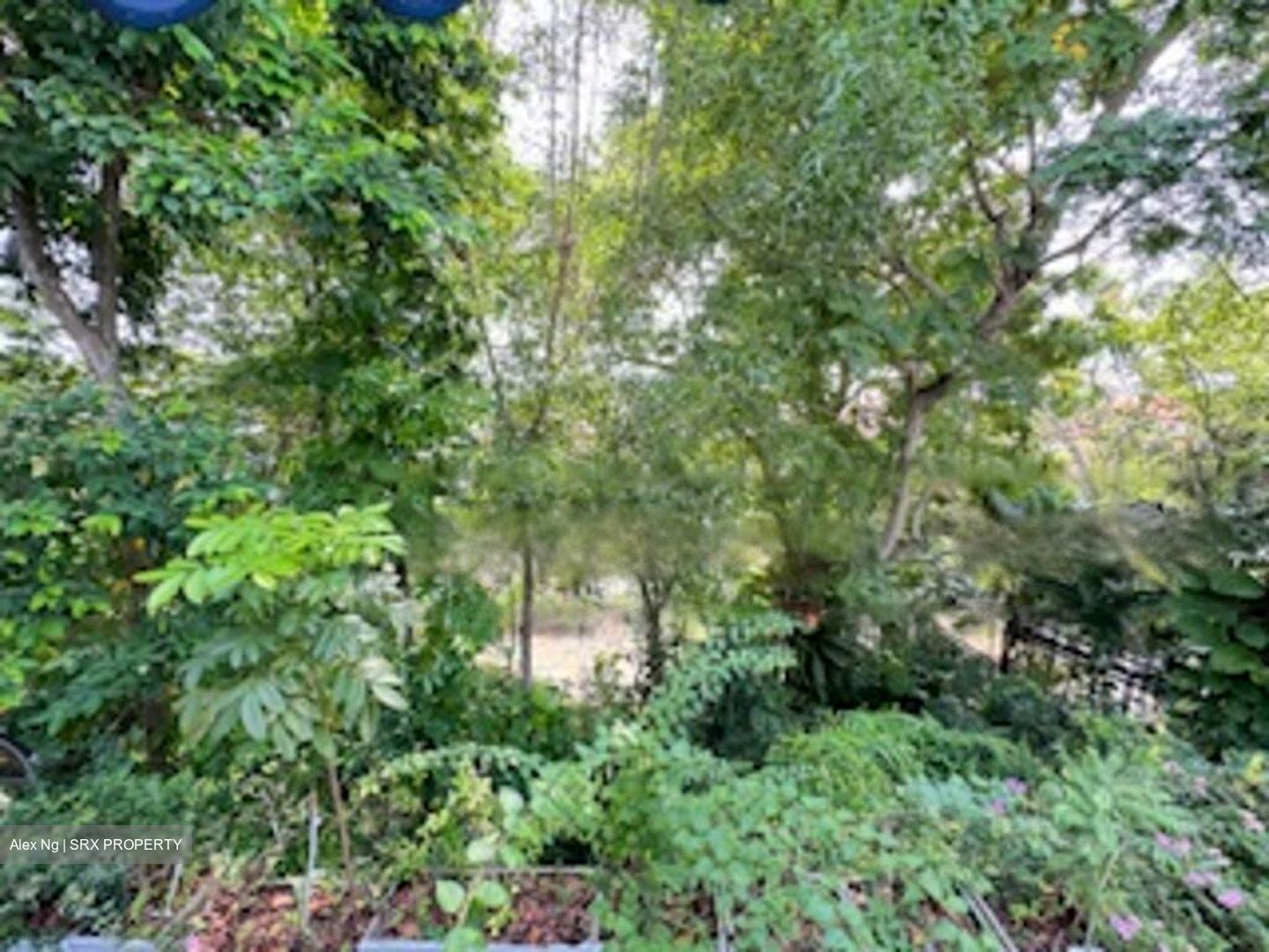 Siglap Road (D15), Detached #448214831